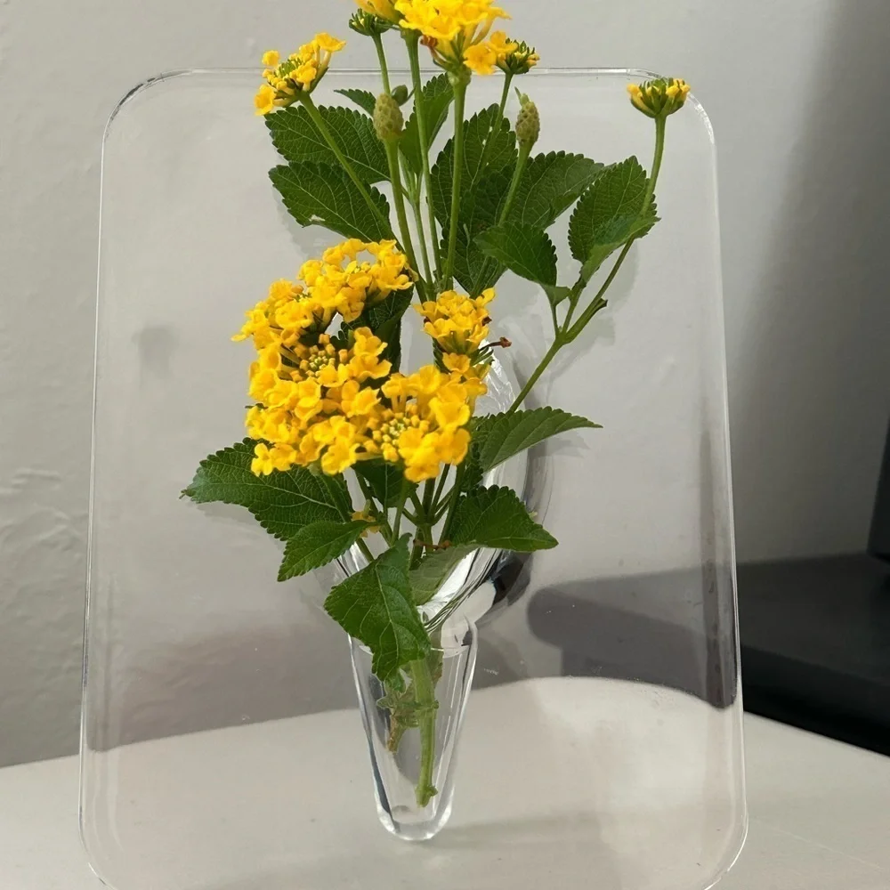 Contemporary Acrylic Vase: Rectangular Shape, Transparent Design / BRAND NEW